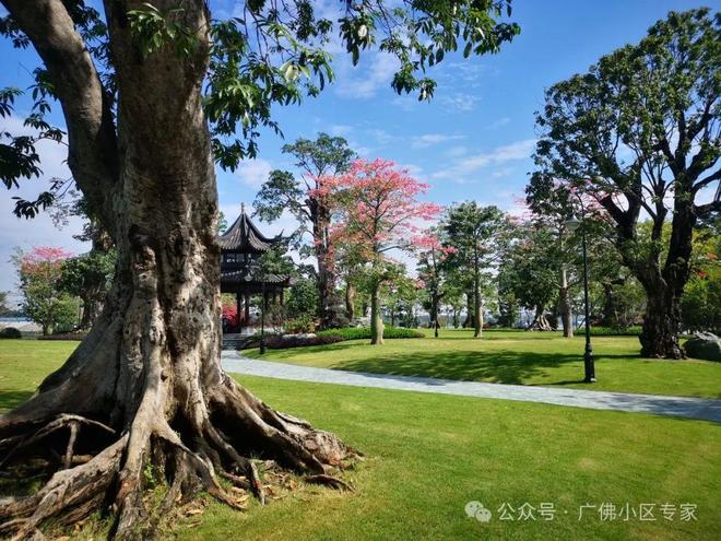 五號售楼处：星河湾·半岛定义高端人居九游会J9⚡今日头条@星河湾·半岛(图4)