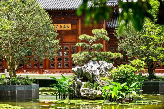 五號售楼处：星河湾·半岛定义高端人居九游会J9⚡今日头条@星河湾·半岛(图6)