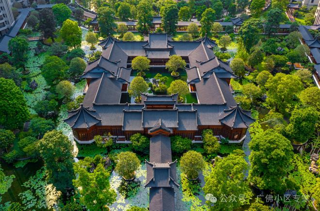 五號售楼处：星河湾·半岛定义高端人居九游会J9⚡今日头条@星河湾·半岛(图11)