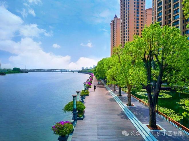 五號售楼处：星河湾·半岛定义高端人居九游会J9⚡今日头条@星河湾·半岛(图13)