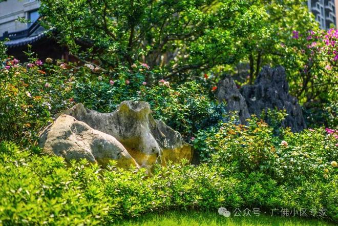 五號售楼处：星河湾·半岛定义高端人居九游会J9⚡今日头条@星河湾·半岛(图28)